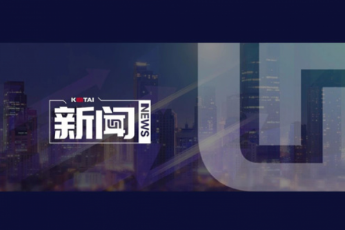 开高端网络及智算市场新局，神州数码并购智邦大陆结硕果